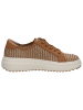 Caprice Sneaker in CAMEL COMB