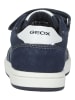 Geox Sneaker in Navy/Weiß