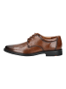 LLOYD Businessschuhe CORE 110 Cognac