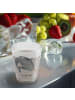 Mr. & Mrs. Panda Schnapsglas Narwal ohne Spruch in Transparent