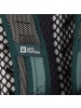Jack Wolfskin Prelight Shape 15 Wanderrucksack 43 cm in jade green