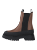 Tamaris Stiefelette in Braun/Schwarz