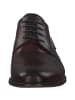 DIGEL Klassische- & Business Schuhe in Brown