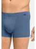 Hanro Retro Short / Pant Cotton Essentials in Stormy gray / tanzanite