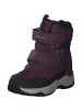 Geox Stiefeletten in Purple