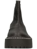 Steve Madden Stiefelette in Schwarz/Silber