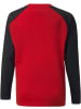Puma Pullover "TeamLIGA Training Sweat Jr" in Rot