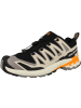 SALOMON Laufschuhe XA PRO 3D V9 in creme