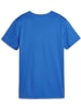 Puma T-Shirt "TeamGoal Jersey Wmn" in Blau
