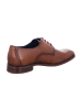 LLOYD Business Schuhe für Herren in braun