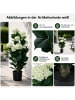 MCW Künstliche Hortensie Q86, Rosa