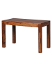 FineBuy Esstisch in Braun / Sheesham / 60x120x76