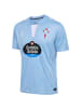 Hummel T-Shirt Rcc 24/25 Erwachsene in BLUE BELL