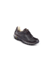 MEINDL Trekkingschuhe low in braun