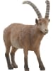Schleich Steinbock in Mehrfarbig ab 3 Jahre