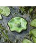 MARELIDA Teichdeko Schwimmfrosch Dekofigur Frosch für Teich Wasserschale 7,8cm
