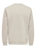 ONLY & SONS Sweatshirt in Silver Lining