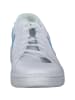 Nike Sneakers Low in WHITE/LT PHOTO BLUE