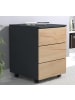 VCM  Rollcontainer Beistellcontainer Dalosa 45 cm in Anthrazit / Honig-Eiche