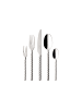 Villeroy & Boch 30er Set Tafelbesteck Montauk silber in silber