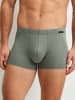 Calida New Boxer in agave green
