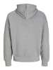 Aprel Kapuzenpullover in Light Grey Melange