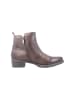 Tamaris Stiefeletten in Taupe