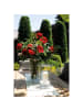 Fink Windlicht "Sintra" in Transparent - H. 35 cm - D. 24 cm