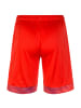 Puma Trainingsshorts Cup in rot / weiß