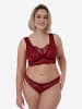 SugarShape Brazilian-Slip Eliana Velvet in burgundy