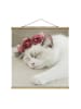 WALLART Stoffbild mit Posterleisten - Schlafende Katze mit Rosen in Weiß