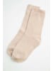 Coccodrillo Socken in beige