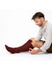 Occulto 1er Pack Lange Trachtensocken Silberdistel in Rot