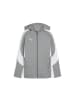 Puma Kinder Sweatjacke "teamEVOSTRIPE Hooded Jacket JR" in Grau