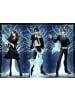 Ravensburger Puzzle 500 Teile Erwachsenenpuzzle 500 Teile - Harry Potter - Leuchtender Patronus Ab 12 Jahre in bunt