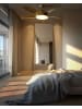 Beliani 2-tlg Deckenventilator mit Licht GOSHAABA in Messing