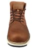 Levi´s Stiefeletten Jax Plus braun