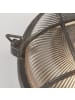 Licht-Erlebnisse Außen Wandlampe (B)26.5 x (H)26.5 cm in Silber Antik Klar/Transparent