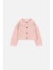 Coccodrillo Pullover in rosa