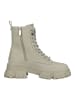 Steve Madden Stiefelette in Bone