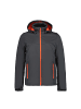 Icepeak Softshelljacke Biggs in grau