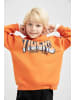 DeFacto Kapuzensweatshirt OVERSIZE FIT in Dunkelorange