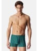 Schiesser Retro Short / Pant 95/5 Essentials in Blau / grün