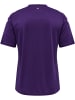 Hummel Hummel T-Shirt Hmlcore Multisport Herren Atmungsaktiv Schnelltrocknend in ACAI
