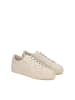 Kazar Sneaker Low in Beige