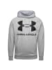 Under Armour Kapuzenpullover Rival Fleece Big Logo in grau