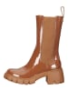 Steve Madden Stiefelette in Cognac