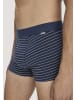 Hessnatur Pants Regular Cut 3er-Pack in nebelblau