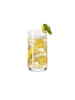 LEONARDO 6er Set Trinkgläser Daily in 230 ml in transparent