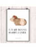 Mr. & Mrs. Panda Wandbild Meerschweinchen Weisheit mit Spruch in Weiß